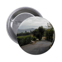 Paseo de la mañana en San Gimignano Pins
