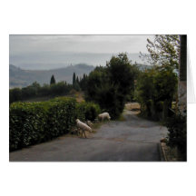 Paseo de la mañana en San Gimignano Tarjeton