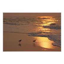 Paseo de la playa de la salida del sol arte fotográfico