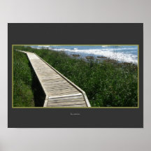Paseo de la playa, Kaikoura, Nueva Zelanda Poster