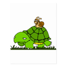 Paseo de la tortuga postales