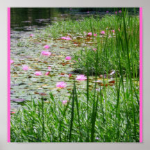 Paseo de Lilles Poster