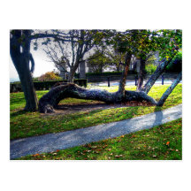 Paseo del acantilado de Rhode Island, Newport - Tarjeta Postal