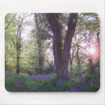 Paseo del Bluebell Tapete De Ratones