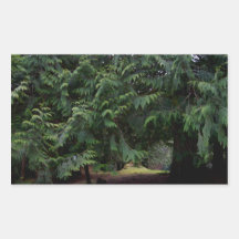 Paseo del bosque pegatinas  