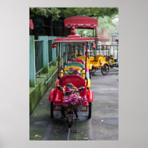 Paseo del mono en Shangai Impresiones