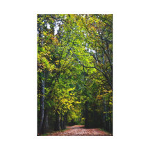Paseo del otoño abajo de la carretera nacional impresiones en lienzo estiradas