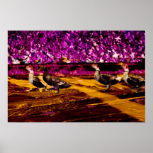 Paseo del pato poster