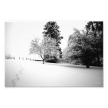 Paseos del invierno foto