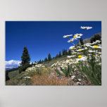 Paso del Boreas, Breckenridge, los E.E.U.U. en el  Poster