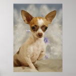 Paso divertido del perrito de la chihuahua primer  posters