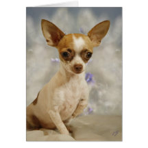 Paso divertido del perrito de la chihuahua primer  felicitacion 