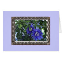 Passionflowers Felicitaciones
