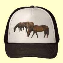 Pasto de caballos gorras