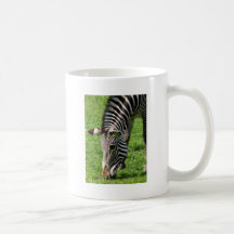 Pasto de la cebra tazas de café