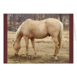 Pasto del caballo del Palomino Tarjeta