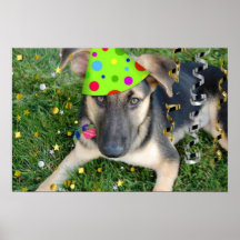 Pastor alemán de la fiesta de cumpleaños posters