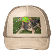 Pastor alemán del juerguista del cumpleaños gorras