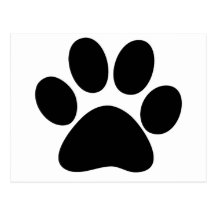Pata animal tarjetas postales