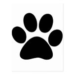 Pata animal tarjetas postales