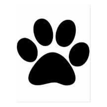 Pata animal tarjetas postales