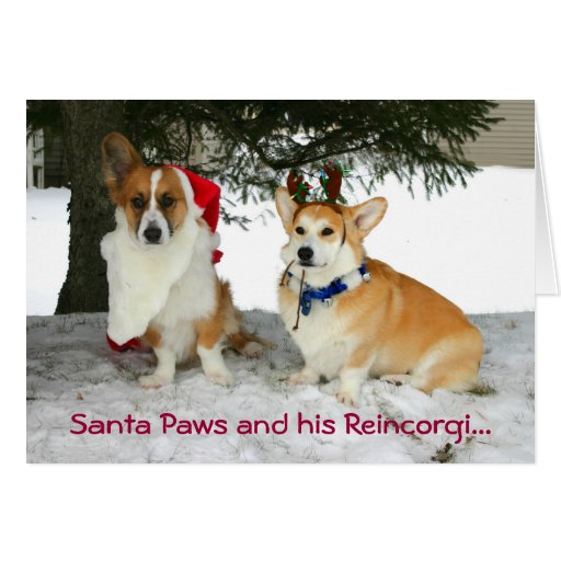 Patas de Santa y su Reincorgi Tarjetas