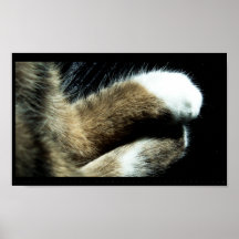 patas posters