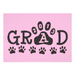 PATAS rosa y negro del GRADUADO 2013 Comunicado Personalizado