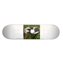 Patineta De Animales