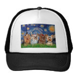 Patio de Yorkshire Terrier - noche estrellada Gorro