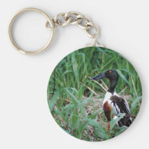 Pato cuchara septentrional llaveros personalizados