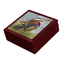Pato de mandarín de risa cajas de regalo