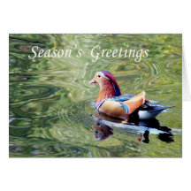 Pato de mandarín, tarjeta de las felices Navidad,