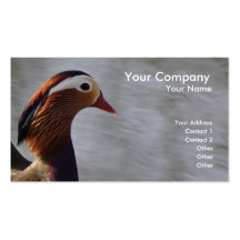 Pato de mandarín tarjetas de negocios