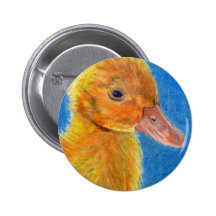 Pato del bebé pin