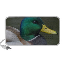 Pato del pato silvestre mp3 altavoces