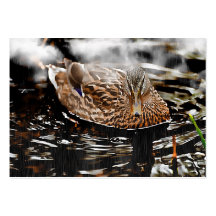 Pato del pato silvestre plantilla de tarjeta de negocio