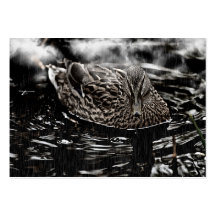 Pato del pato silvestre plantilla de tarjeta de negocio