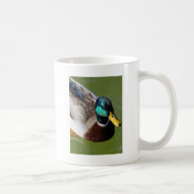 Pato del pato silvestre tazas