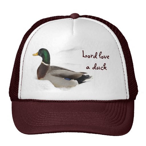 Pato en nieve gorros  