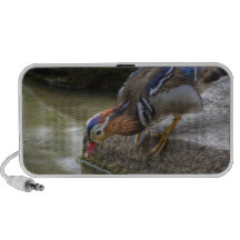 Pato en The Edge iPhone Altavoz