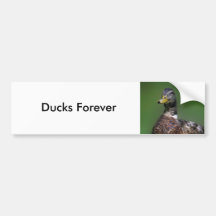 Pato Etiqueta De Parachoque