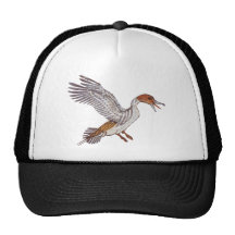 pato gorro