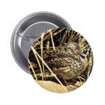 Pato hawaiano (gallina de Koloa) Pins