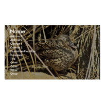 Pato hawaiano (gallina de Koloa) Plantillas De Tarjetas De Visita