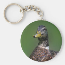 Pato Llavero