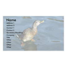 Pato Plantillas De Tarjeta De Negocio