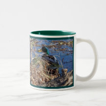 PATO SILVESTRE DRAKE TAZA