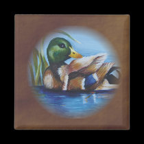 Pato silvestre imanes