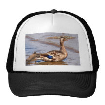 Pato silvestre orgulloso de la madre gorros bordados